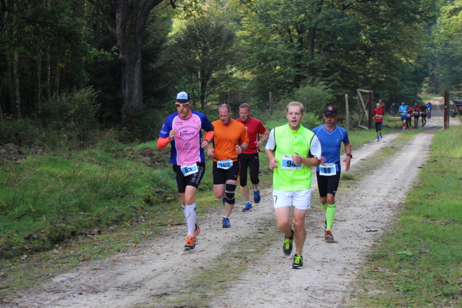 9. Reinhardswald Halbmarathon